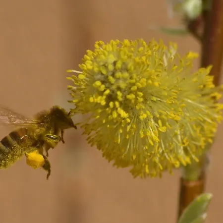Casa vacanze Liwi Liessow (Ludwigslust-Parchim)