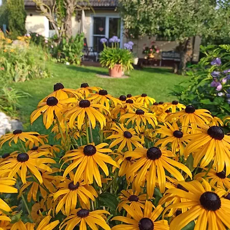 Liwi Casa vacanze Liessow (Ludwigslust-Parchim)